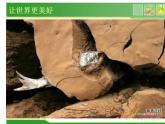 浙美版八年級下冊美術(shù)課件 9.讓世界更美好