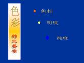 嶺南社八年級下冊美術(shù)課件 6.色彩的表現(xiàn)