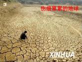 冀教版七年级下册 4.公益招贴设计 课件