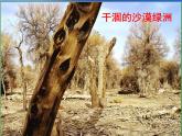 冀教版七年级下册 4.公益招贴设计 课件