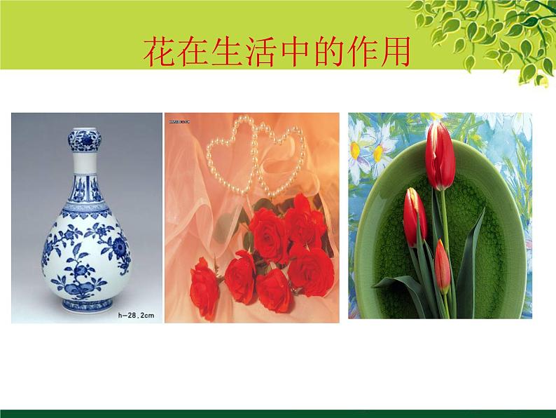 冀教版七年级下册 3.花卉装饰画 课件03