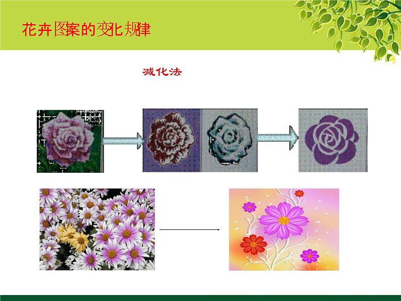 冀教版七年级下册 3.花卉装饰画 课件05