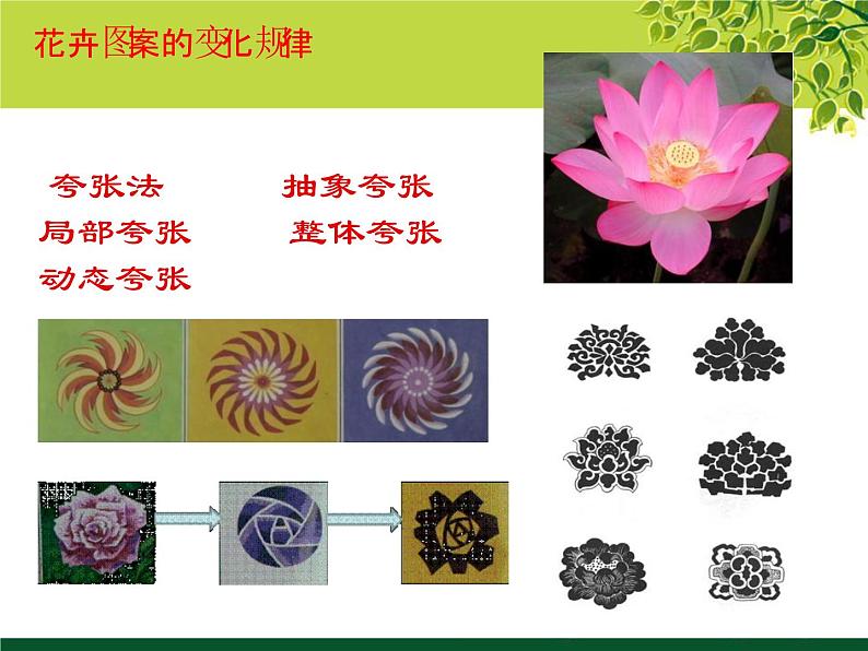 冀教版七年级下册 3.花卉装饰画 课件06