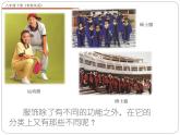 浙美版八年級(jí)下冊(cè)美術(shù)課件 6.青春風(fēng)采