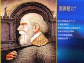 浙美版八年級下冊美術(shù)課件 8.奇特的視覺圖形