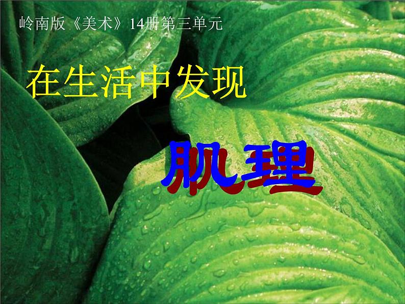 岭南社七年级下册美术课件 6.肌理与应用01