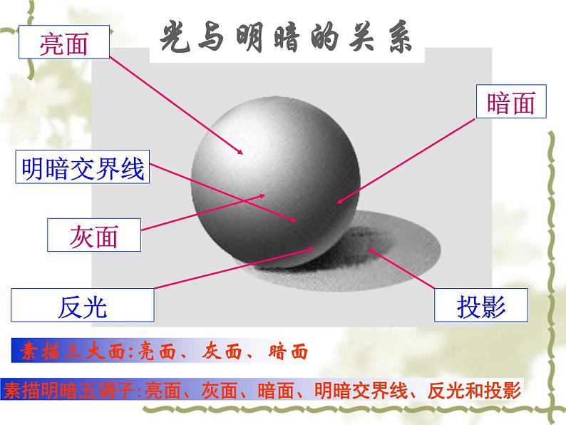 岭南社八年级下册美术课件 5.明暗的造型第6页