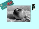 冀教版七年级下册 6.素描 课件
