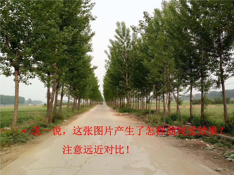 冀教版七年级下册 5.探索焦点透视 课件05