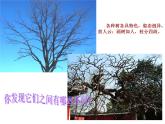 浙美版七年级下册美术  6.诗情画意 课件