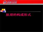 岭南社七年级下册美术课件 6.肌理与应用