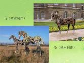 岭南社七年级下册美术课件 12.化腐朽为神奇
