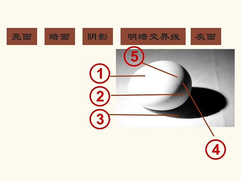 岭南社八年级下册美术课件 5.明暗的造型08