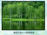 嶺南社八年級下冊美術(shù)課件 6.色彩的表現(xiàn)