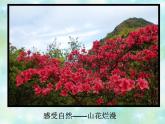 嶺南社八年級下冊美術(shù)課件 6.色彩的表現(xiàn)