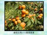 嶺南社八年級下冊美術(shù)課件 6.色彩的表現(xiàn)