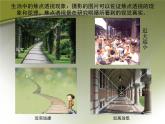 冀教版七年级下册 5.探索焦点透视 课件