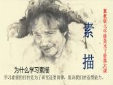 冀教版七年级下册 6.素描 课件