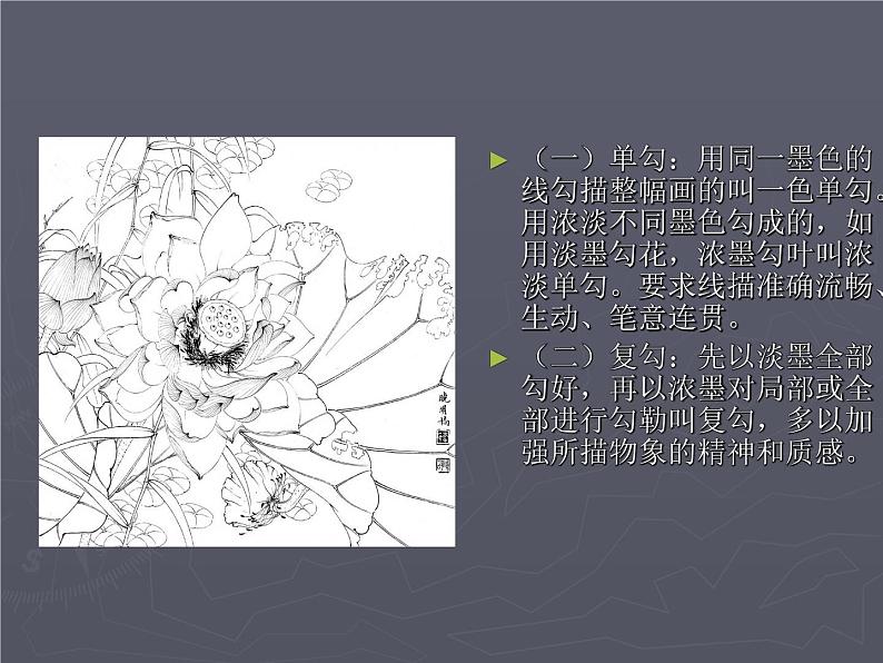 浙美版七年级美术上册6《出水芙蓉》课件+教案+素材05