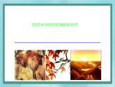 桂美版九上美术1 美术与自然 课件