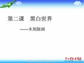 湘教版美術(shù)八下第二課《黑白世界》ppt課件1-