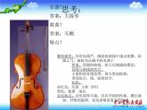 湘教版美术八下第五课《大提琴》ppt课件3-