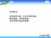 湘教版美术八下第五课《大提琴》ppt课件1-