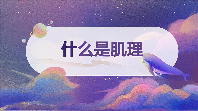 初中美术 七年级下册《肌理与应用》 课件03