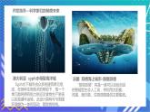 初中 初一 美术《开发海洋畅想未来》授课PPT 课件