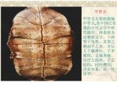 冀美版七年级上册6.中国的毛笔和书法 课件PPT