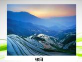 冀美版七年级上册美术课件 4.用线条表现