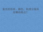 广西版美术七年级上册  5.蛋壳艺术--特殊的美感 课件