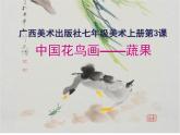 广西版美术七年级上册  3.中国花鸟画--蔬果 课件