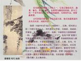 广西版美术七年级上册  3.中国花鸟画--蔬果 课件