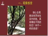 1 線條的表現(xiàn)力 課件