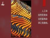 1 線條的表現(xiàn)力 課件