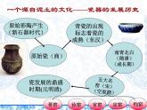 《瓷器之美》 課件
