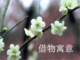 人教版美術(shù)八年級(jí)上冊(cè) 第3單元 第2課《借物寓意》課件