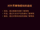 人教版美術(shù)八年級(jí)上冊(cè) 第5單元《展示設(shè)計(jì)作品欣賞》 課件