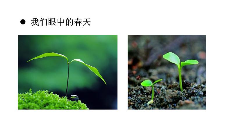 第二单元第2课《春天的畅想》课件第7页