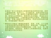 人教版美術(shù)九年級上冊 第5單元 第3課《我國少數(shù)民族的美術(shù)文化》-課件