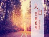 2022—2023学年人美版初中美术七年级上册  大自然的色彩课件PPT