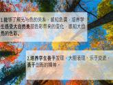 2022—2023学年人美版初中美术七年级上册  大自然的色彩课件PPT