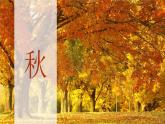 2022—2023学年人美版初中美术七年级上册  大自然的色彩课件PPT