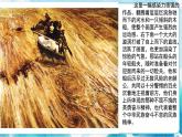 1.1 情感的抒發(fā)與理念的表達(dá) （課件）