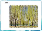 七年级美术下册《春天的畅想》课件+教案