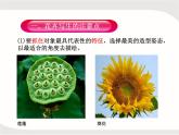 紋樣的寫生與變化——花卉課件PPT