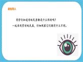 第十一課《傳統(tǒng)民居的藝術(shù)魅力》課件+教案