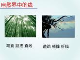 第2課線條的藝術表現(xiàn)力課件 (3) 人美版初中美術九年級上冊