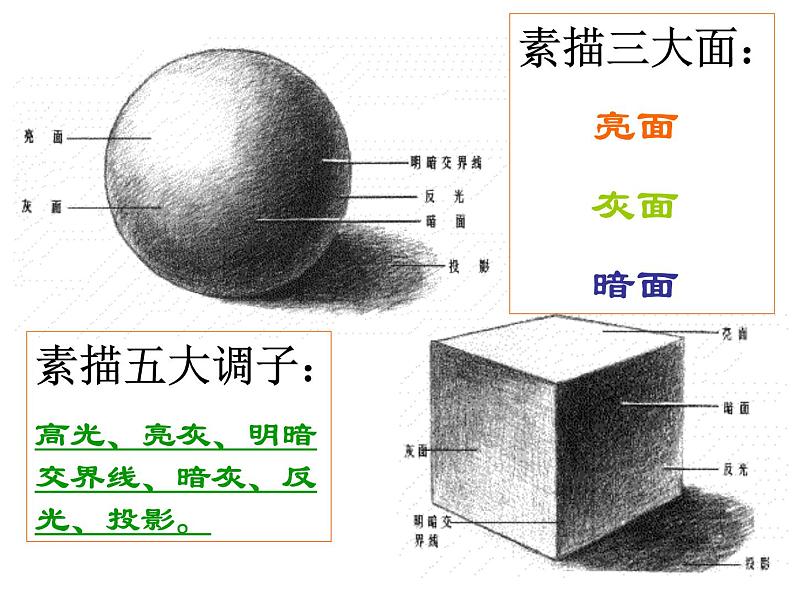 第5课明暗与立体的表现课件 人美版九年级美术上册(1)05